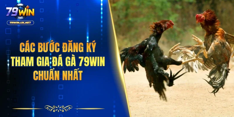 Các bước đăng ký tham gia đá gà 79WIN chuẩn nhất