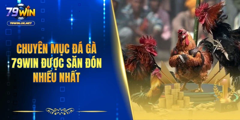 Chuyên mục đá gà 79WIN được săn đón nhiều nhất