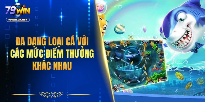Đa dạng loại cá với các mức điểm thưởng khác nhau
