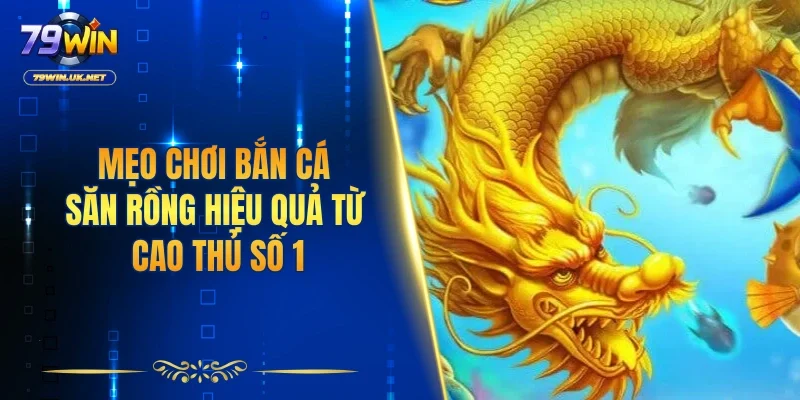Mẹo chơi bắn cá săn rồng hiệu quả từ cao thủ số 1